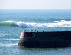 un beau jour sur la mer