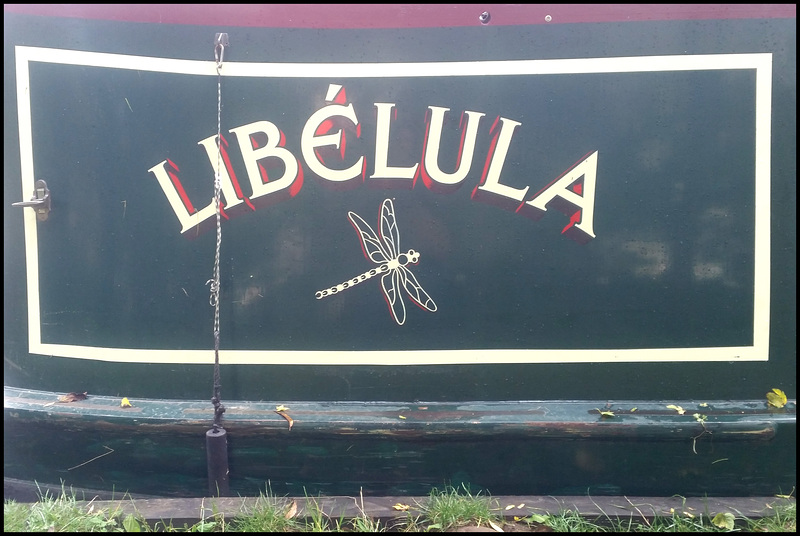 Libelula