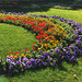 Liège en fleurs