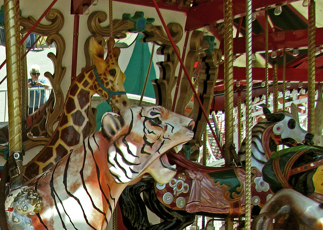 Carousel Lion