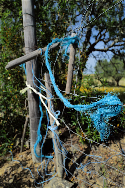 Blue rope and fence, HFF IS NOW OPEN, START POSTING FRIDAY YOUR TIME ZONE !