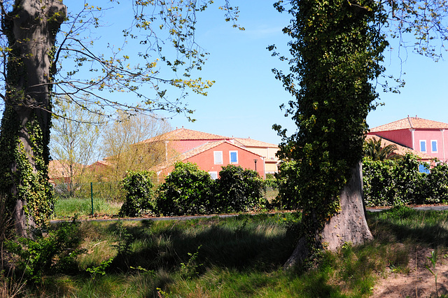 Scenery Along the Canal Du Midi, France