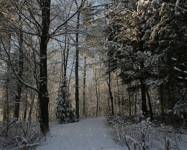 parc des méandres