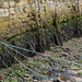 Harbour walls at low tide. Seaton Sluice, Northumberland