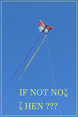 kite in the sky (pip)