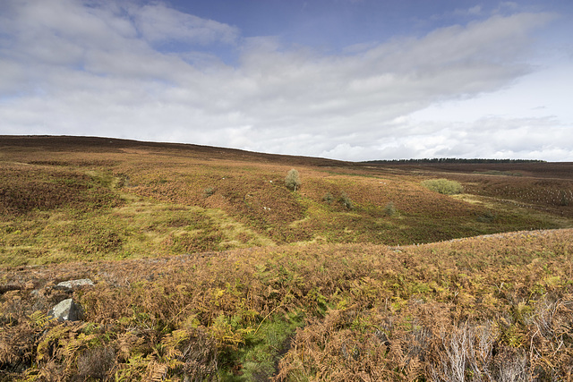 Looking north over Houndkirk Moor