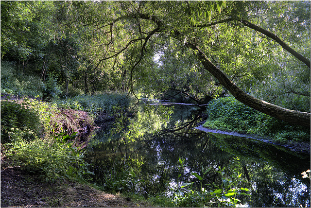 The River Brent at Hanwell The River Brent at Hanwell
