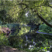 The River Brent at Hanwell