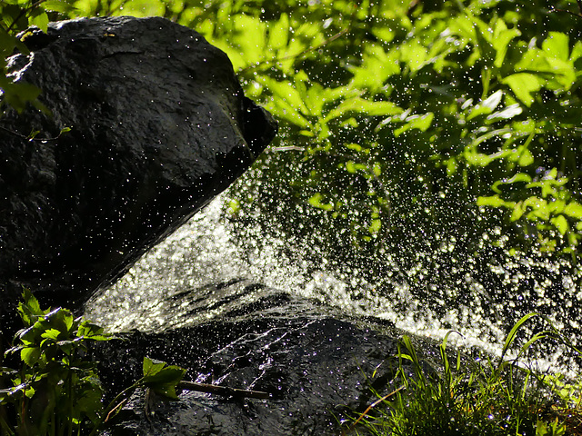 20160611 -18 Rando Meribel Les allues Jour5 (162)