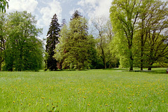 Park im Süden von Putbus