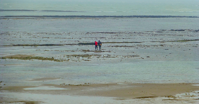 pêcheurs à pieds.