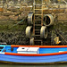 Harbour walls at low tide. Seaton Sluice, Northumberland