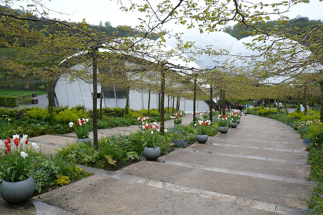 Walkway At The Eden Project