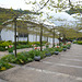 Walkway At The Eden Project