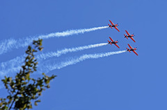 Royal Jordanian Falcons