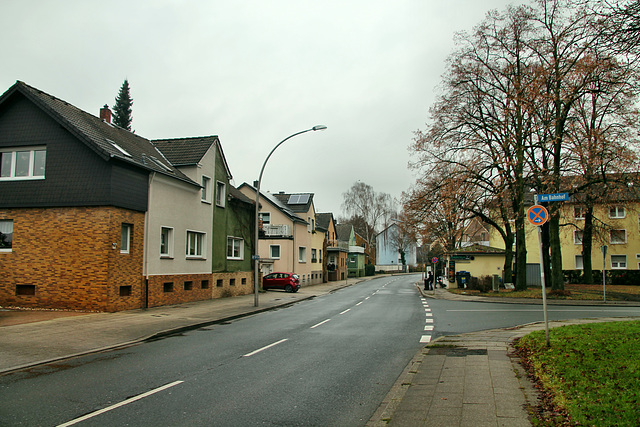 Westicker Straße (Kamen) / 5.01.2020