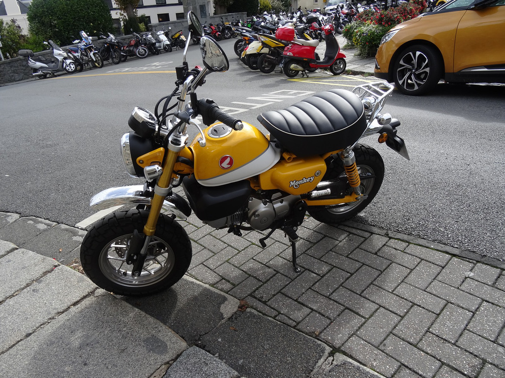 gysep2019v (1013)