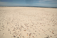 Słowiński Park Narodowy (33)