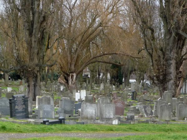 Tottenham Cemetery