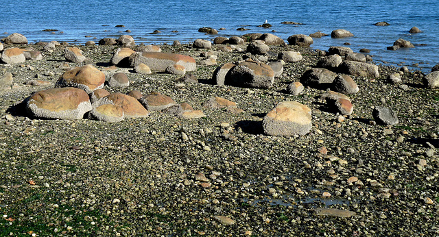 Stony Beach by Stanley Park