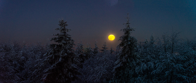 Den Mond ficht(et) so schnell nix an!