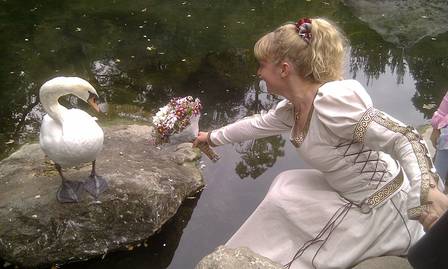 An offering for the swan