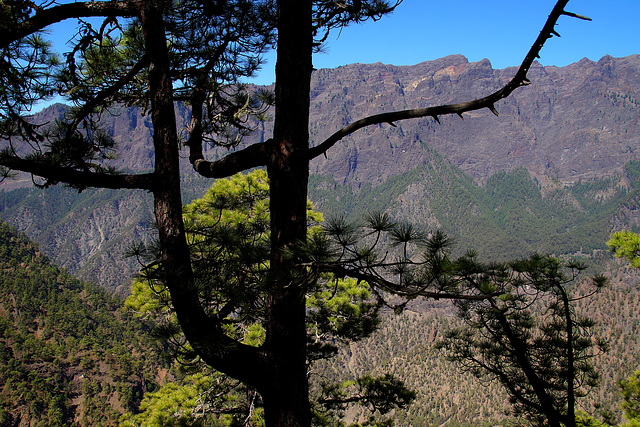 Caldera-Blick