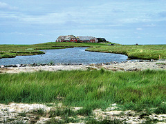 IMG 4210.BEAJPG