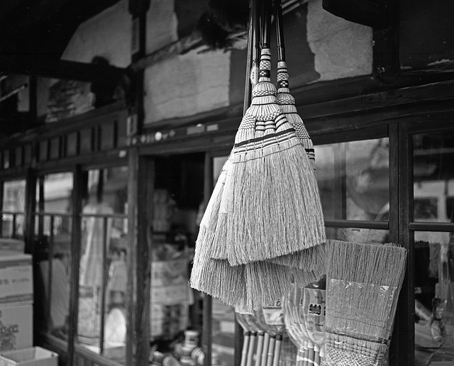 Blooms sold at a store