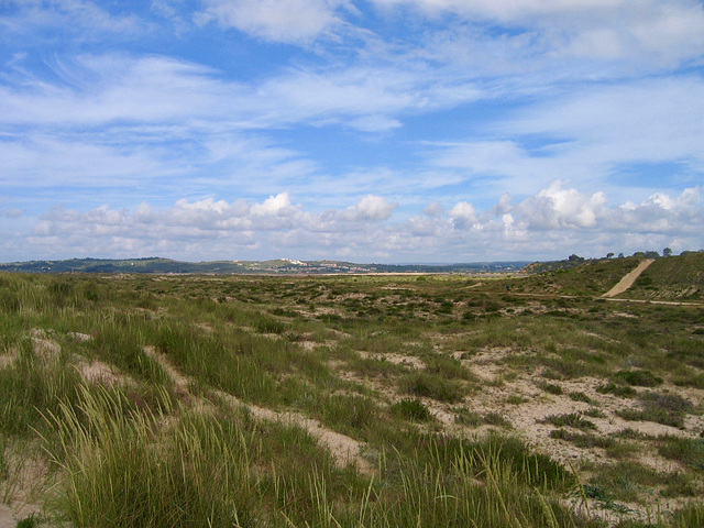 The Estuary at Alvor