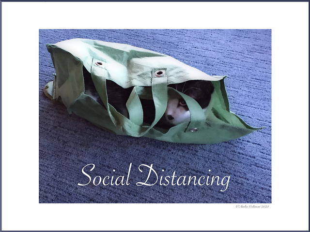 Social Distancing