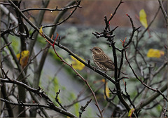 It's the law, luh. It's the law, luh.