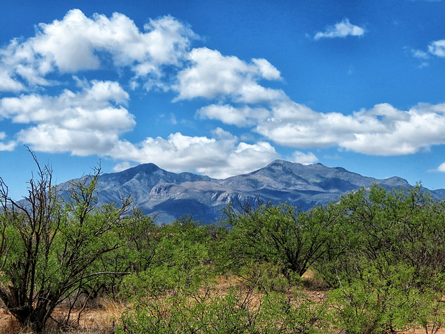 Miller & Carr Peaks