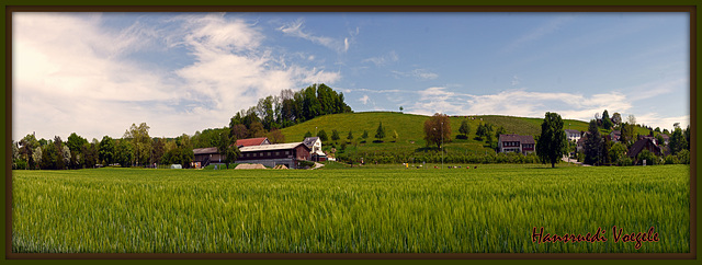 Laufen Uhwiesen