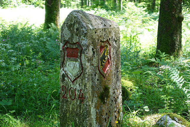 DSC03407