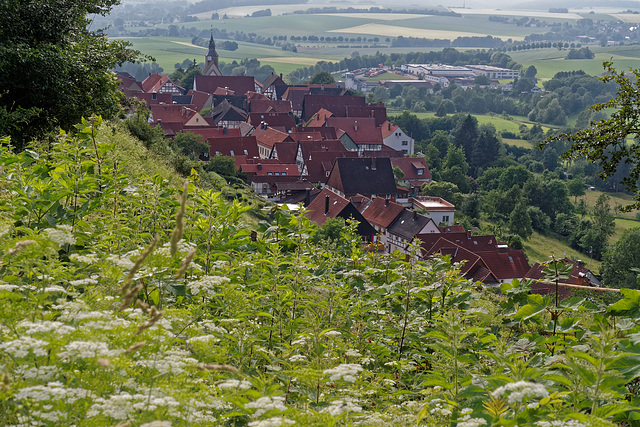 Blick auf Schwalenberg von der Burg