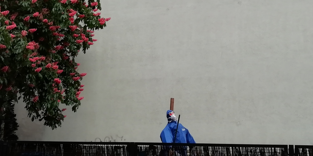 Hinter dem Zaun