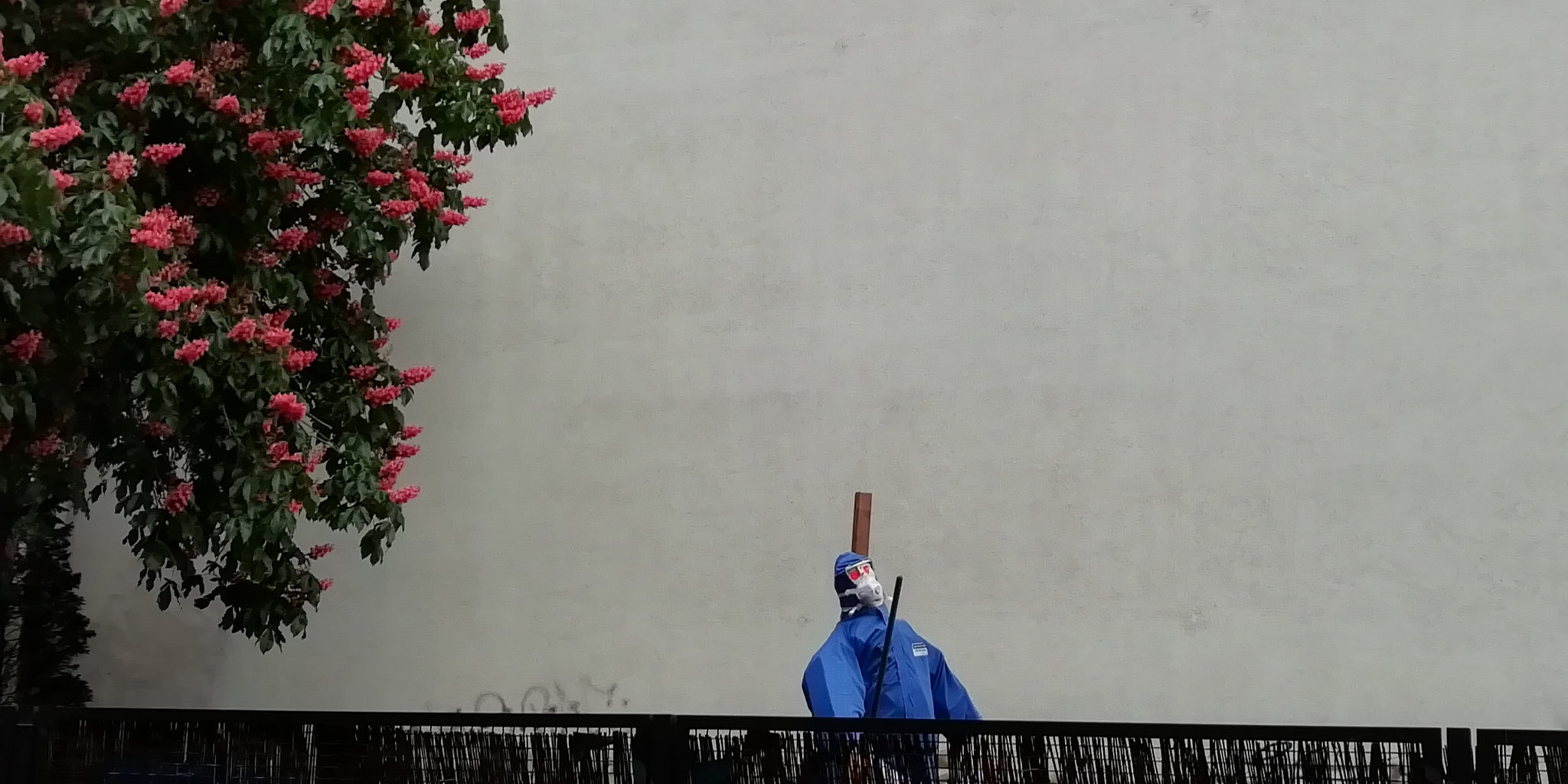 Hinter dem Zaun