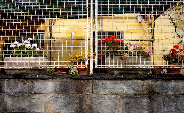 Isolotto fence