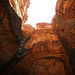 Cathedral Gorge