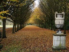 Anglesey Abbey 2011-11-04 054