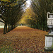 Anglesey Abbey 2011-11-04 054