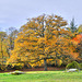 couleurs d'automne sur les mains de Blond (1)