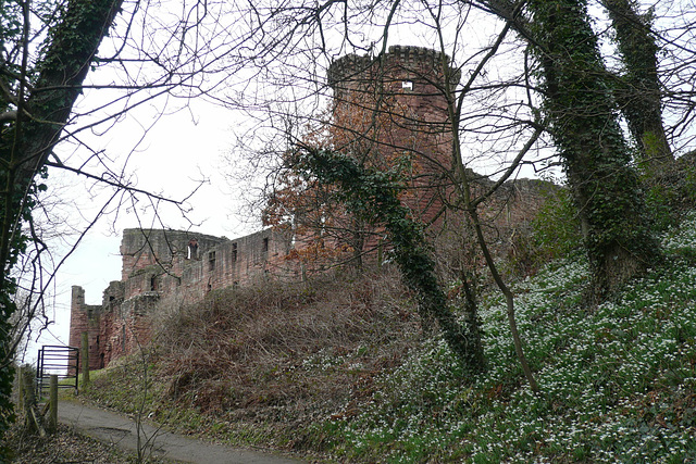 Bothwell Castle