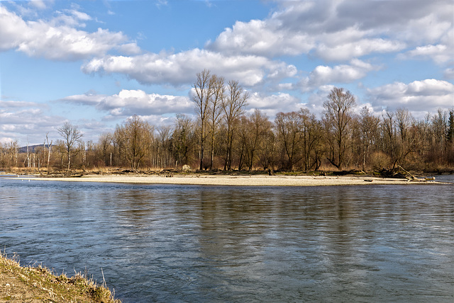 river isar nature reserve near Plattling