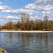 river isar nature reserve near Plattling