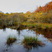 couleurs d'automne sur les monts de Blond (2)