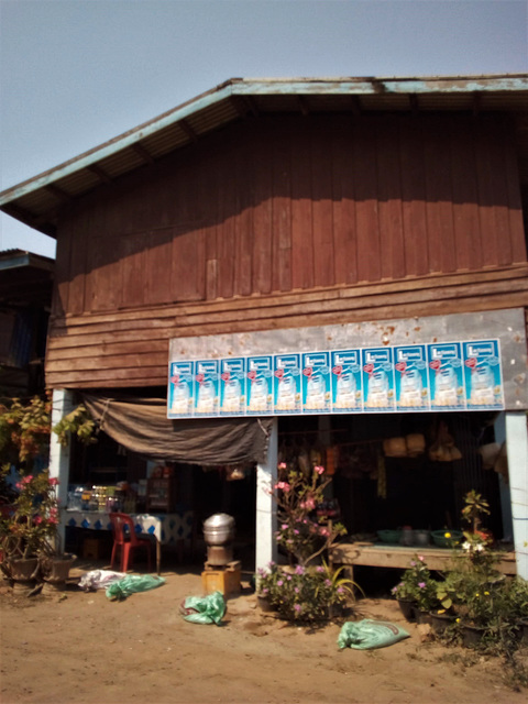 Zone lait de soya (Laos)