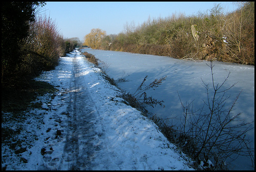 frozen blue canal