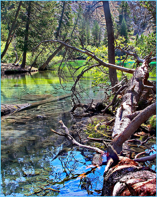 Il lago Verde in Valle Stretta - 2